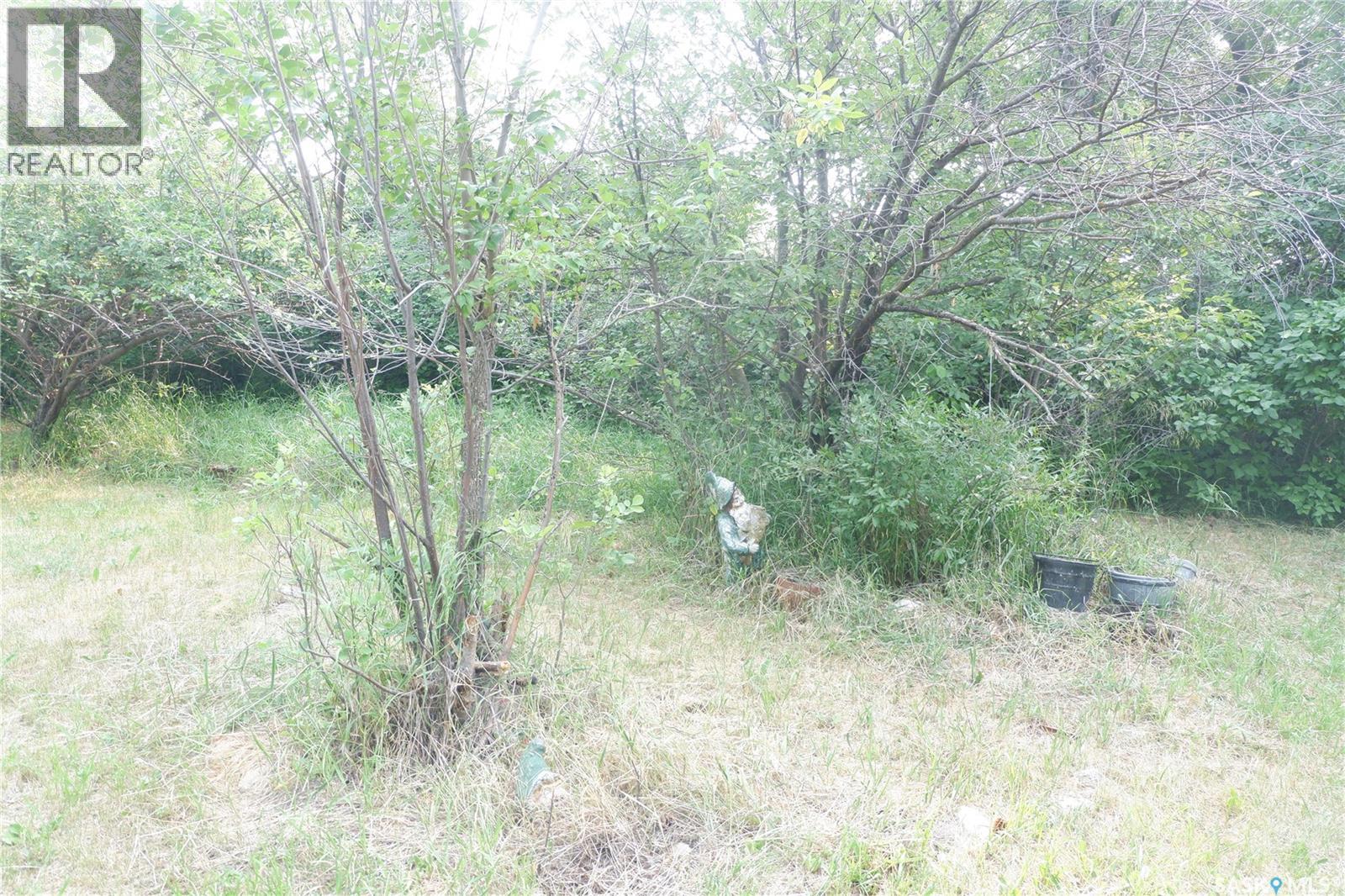 38 Kasper Crescent, Assiniboia, Saskatchewan  S0H 0B0 - Photo 35 - SK047563