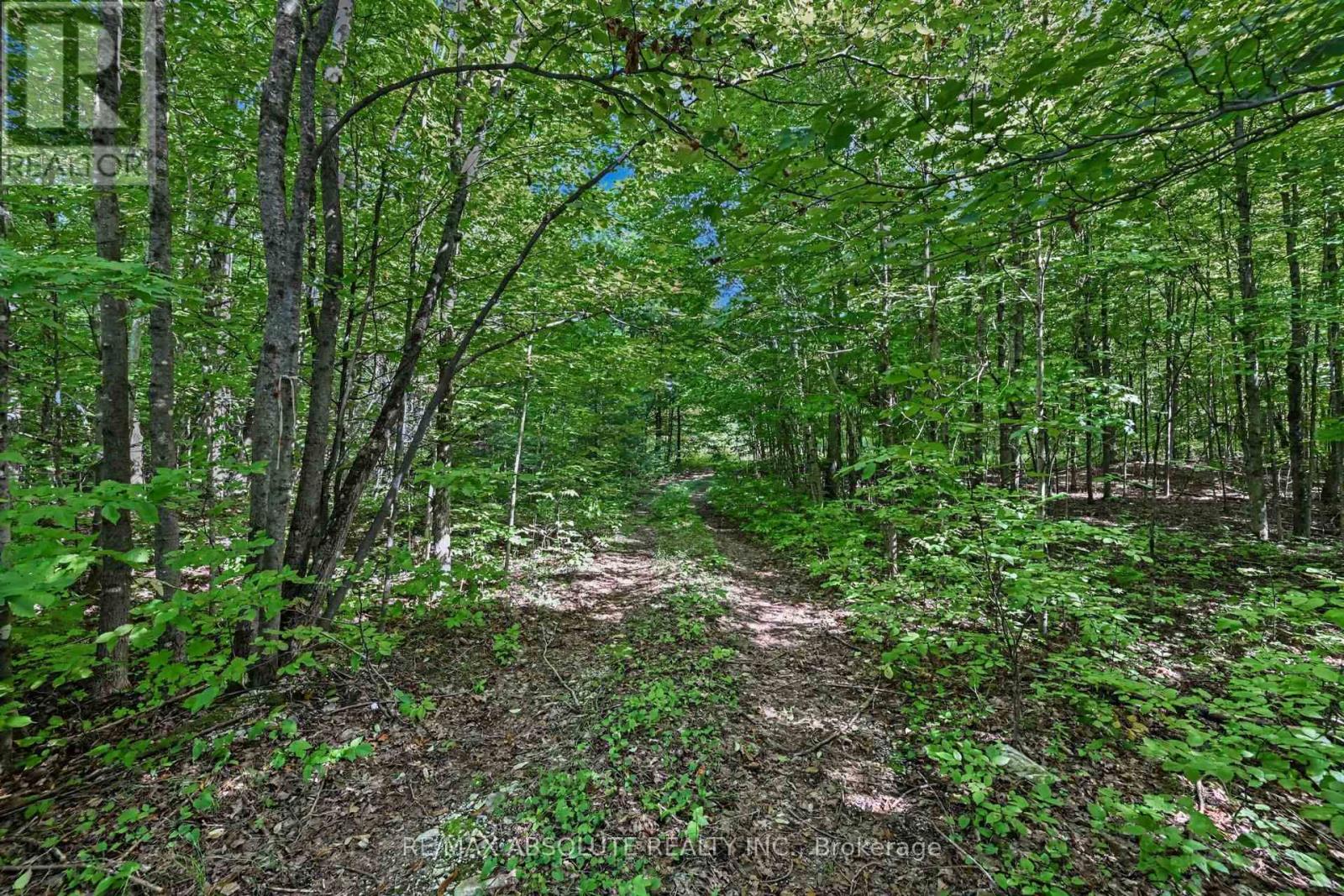 2818 Bellamy Road, Mississippi Mills, Ontario  K0A 3L0 - Photo 10 - X13749256