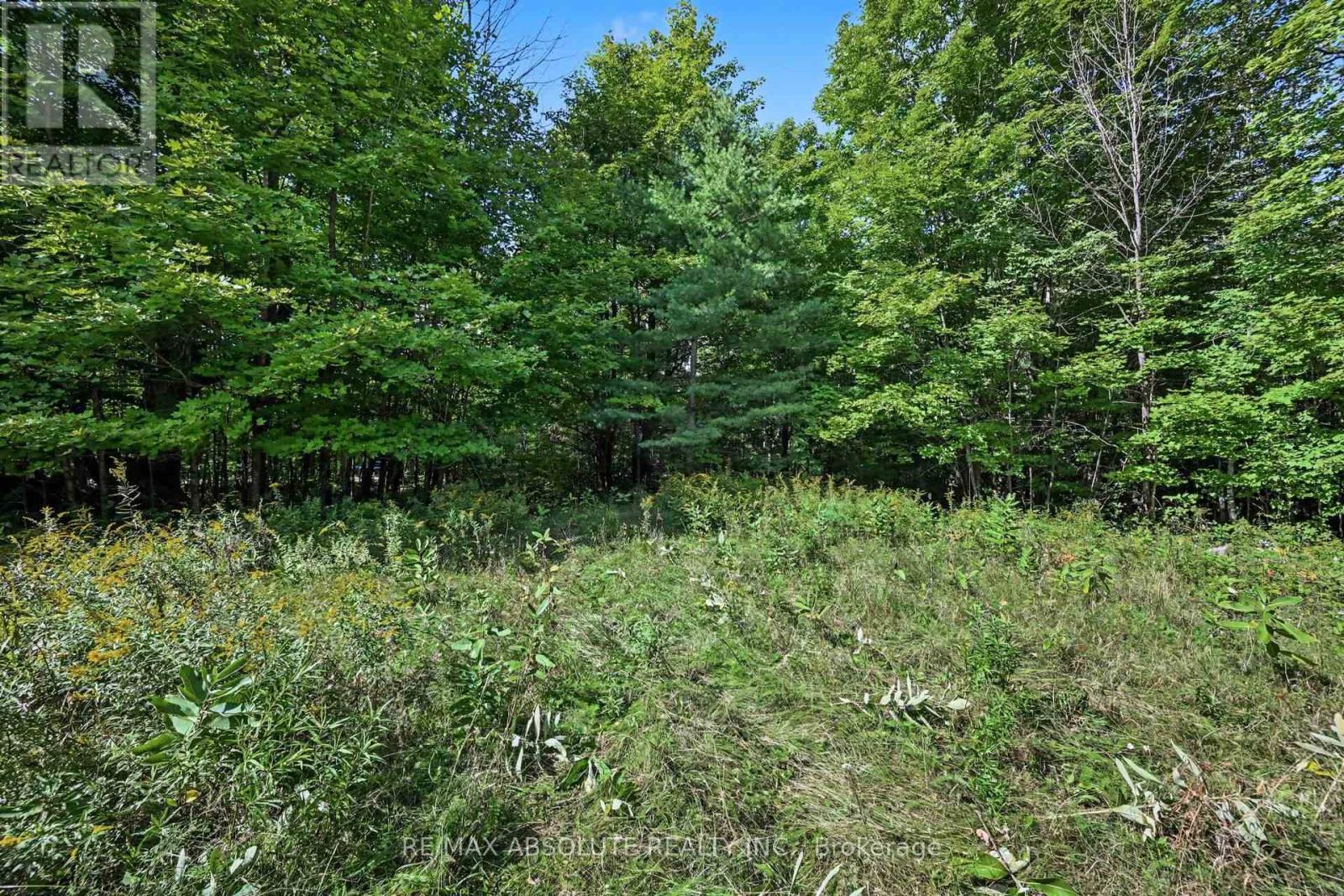 2818 Bellamy Road, Mississippi Mills, Ontario  K0A 3L0 - Photo 12 - X13749256