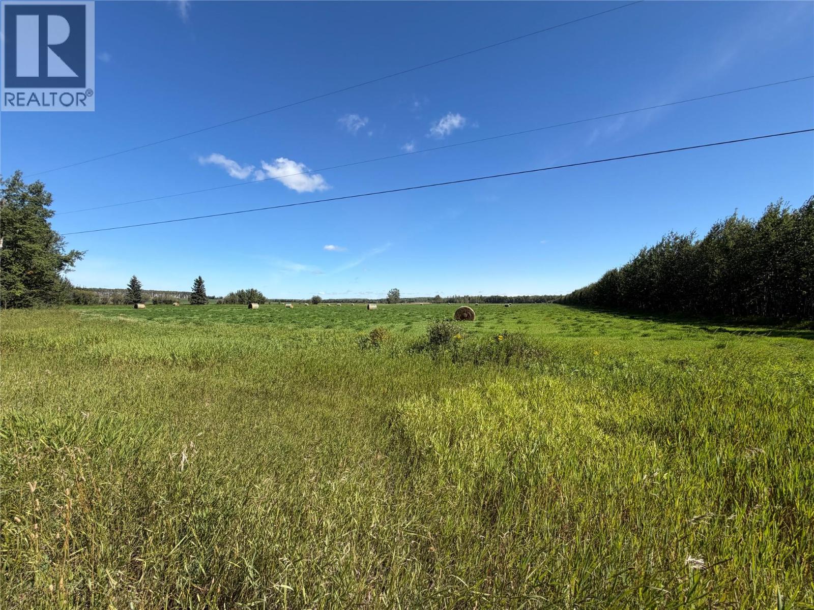 265 Road, Dawson Creek, British Columbia  V1G 3C3 - Photo 4 - 10399646