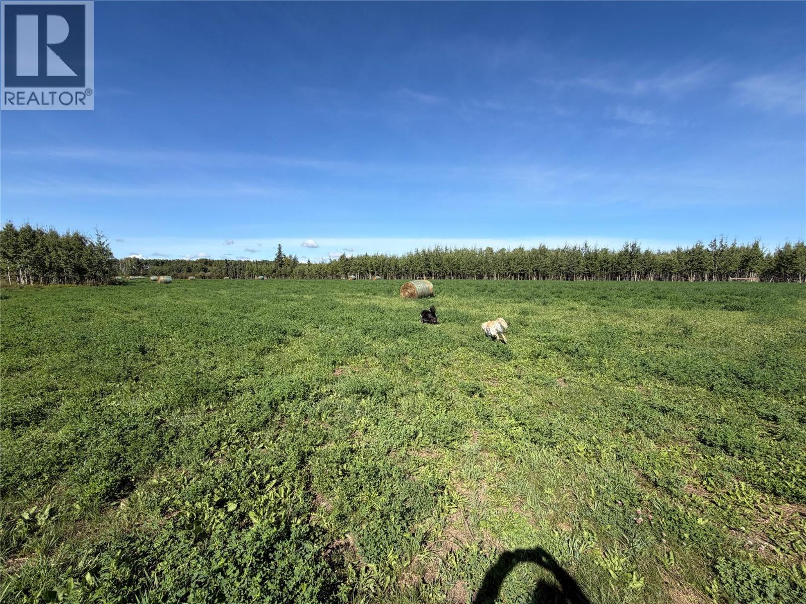 265 Road, Dawson Creek, British Columbia  V1G 3C3 - Photo 10 - 10399646