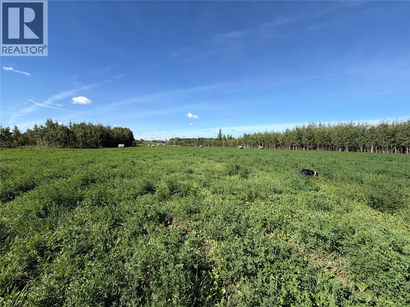265 Road, Dawson Creek, British Columbia  V1G 3C3 - Photo 9 - 10399646