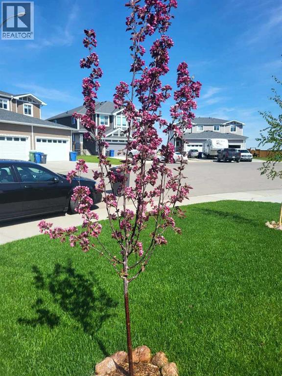 85 Hanson Lane NE, Langdon, Alberta  T0J 1X1 - Photo 45 - A2341905