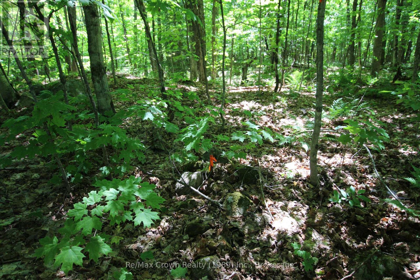 0 534 Highway, Parry Sound Remote Area (Restoule), Ontario  P0H 2R0 - Photo 13 - X12999702