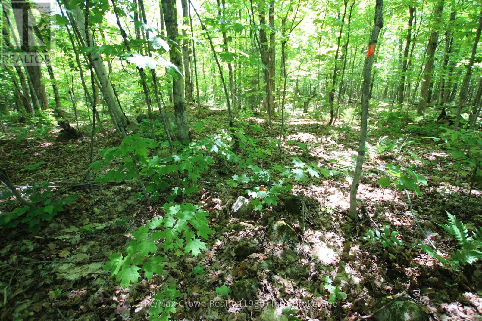 0 534 Highway, Parry Sound Remote Area (Restoule), Ontario  P0H 2R0 - Photo 12 - X12999702