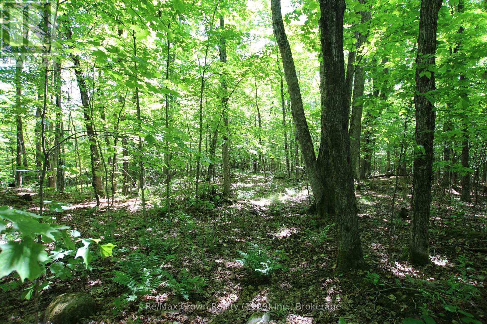 0 534 Highway, Parry Sound Remote Area (Restoule), Ontario  P0H 2R0 - Photo 9 - X12999702