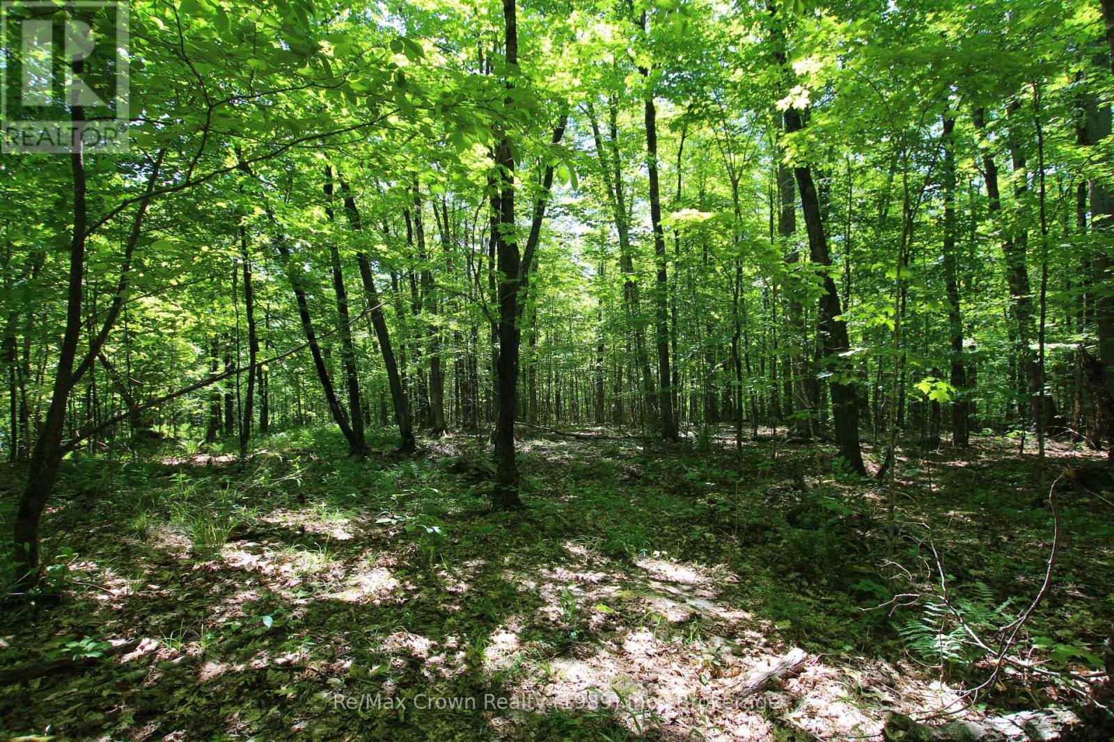 0 534 Highway, Parry Sound Remote Area (Restoule), Ontario  P0H 2R0 - Photo 11 - X12999702