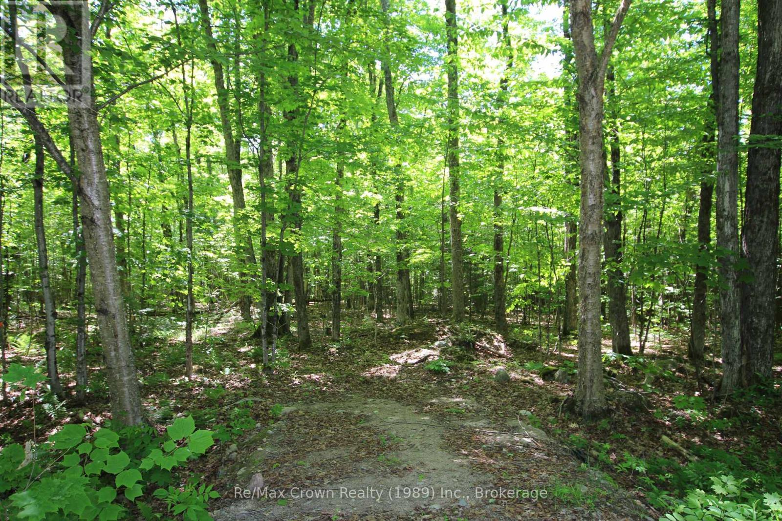 0 534 Highway, Parry Sound Remote Area (Restoule), Ontario  P0H 2R0 - Photo 15 - X12999702