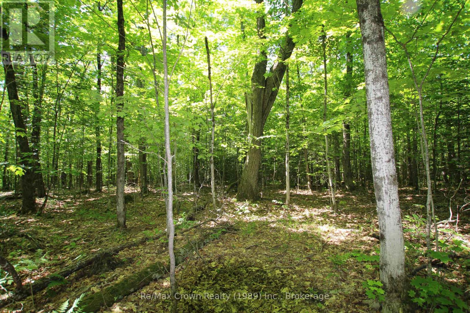 0 534 Highway, Parry Sound Remote Area (Restoule), Ontario  P0H 2R0 - Photo 10 - X12999702