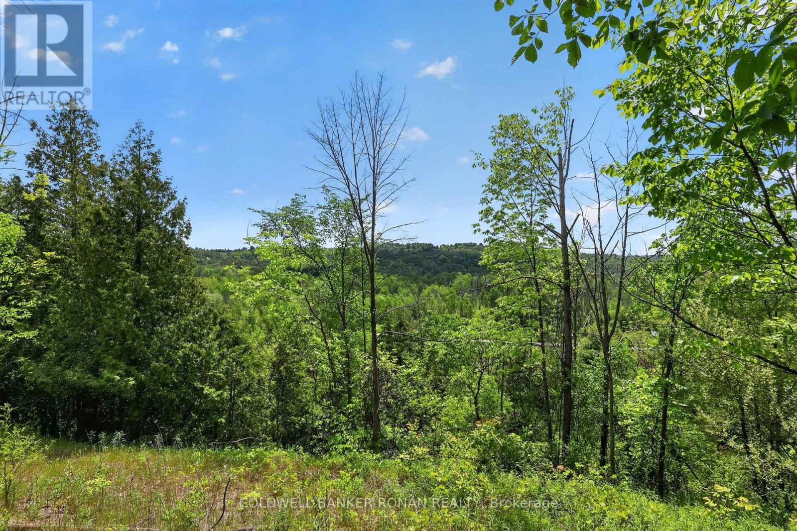 2946 CONCESSION RD 3, Adjala-Tosorontio, Ontario