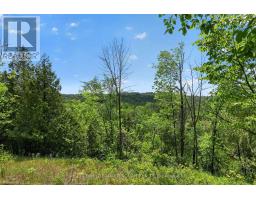 2946 CONCESSION RD 3, Adjala-Tosorontio, Ontario