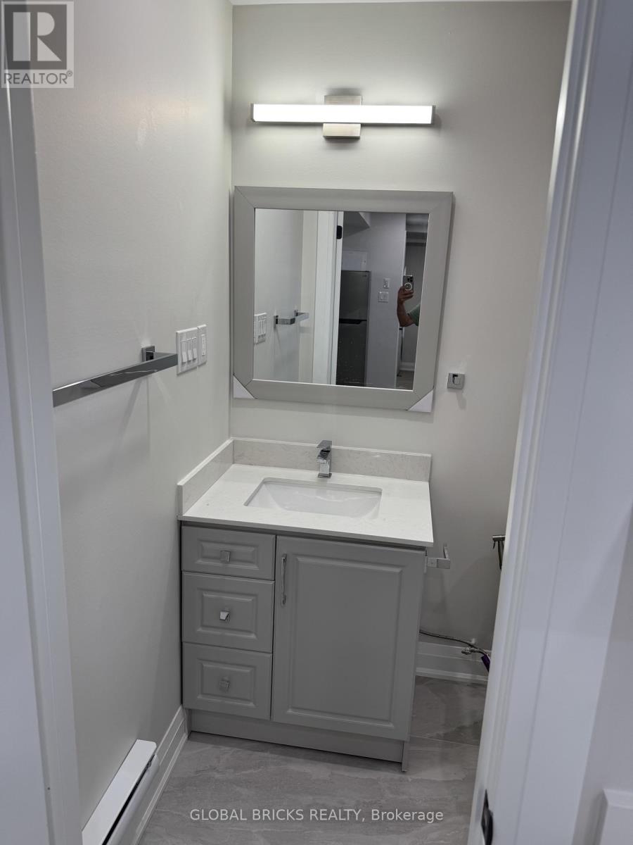 Unit 3- Lower - 101 Minerva Avenue, Toronto, Ontario  M1M 1V8 - Photo 21 - E13749714