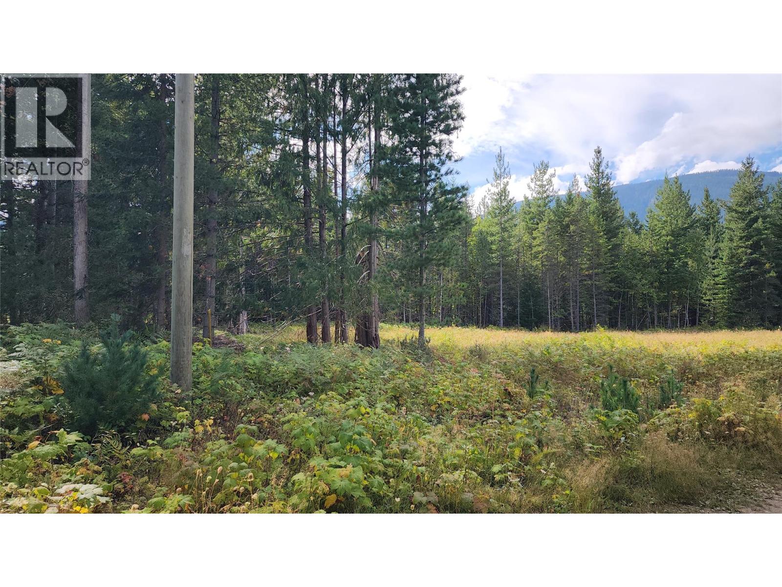Lot 6 Mccormack Road, Burton, British Columbia  V0G 1R1 - Photo 3 - 10399868