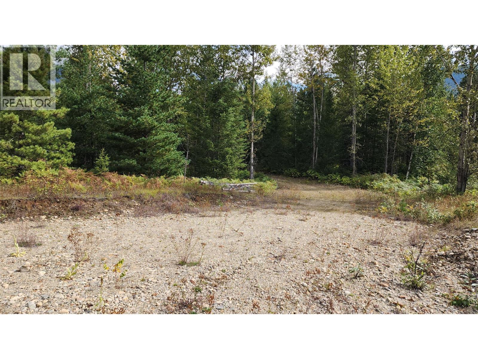 Lot 6 Mccormack Road, Burton, British Columbia  V0G 1R1 - Photo 5 - 10399868