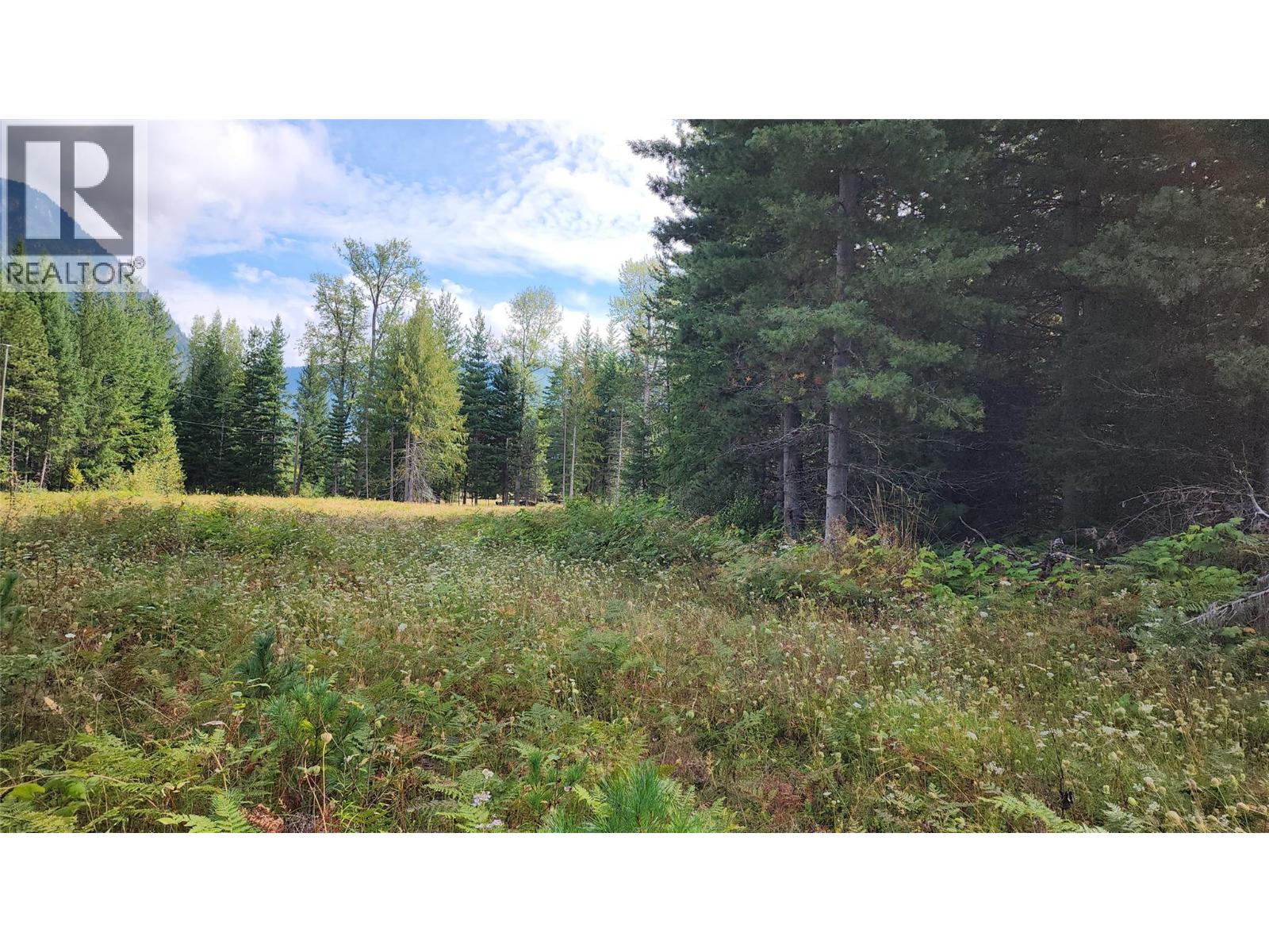 Lot 6 Mccormack Road, Burton, British Columbia  V0G 1R1 - Photo 1 - 10399868