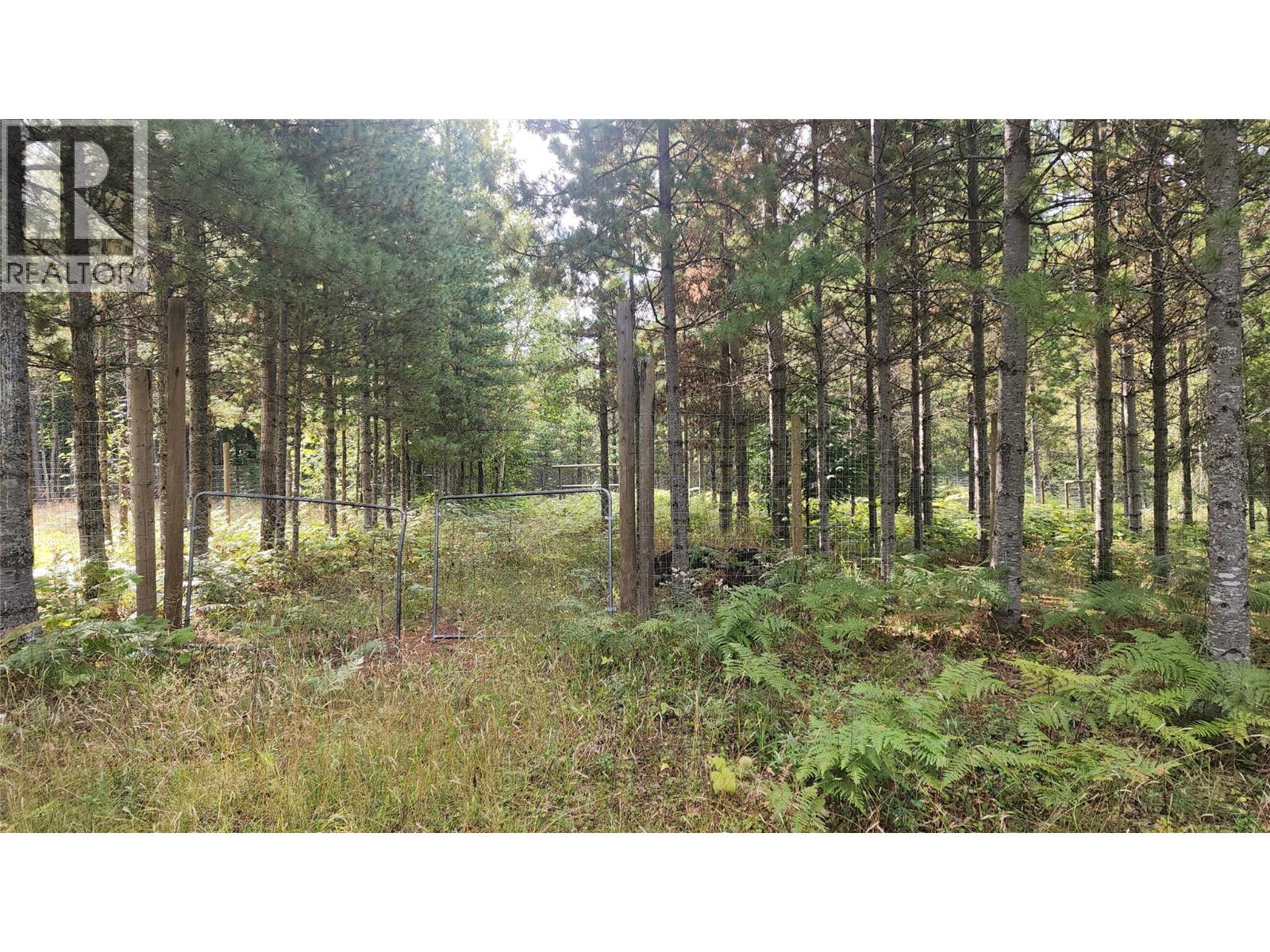 Lot 6 Mccormack Road, Burton, British Columbia  V0G 1R1 - Photo 8 - 10399868