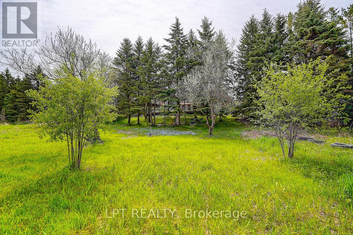 585 Holgate Circle, Newmarket, Ontario  L3X 1V8 - Photo 47 - N13750102