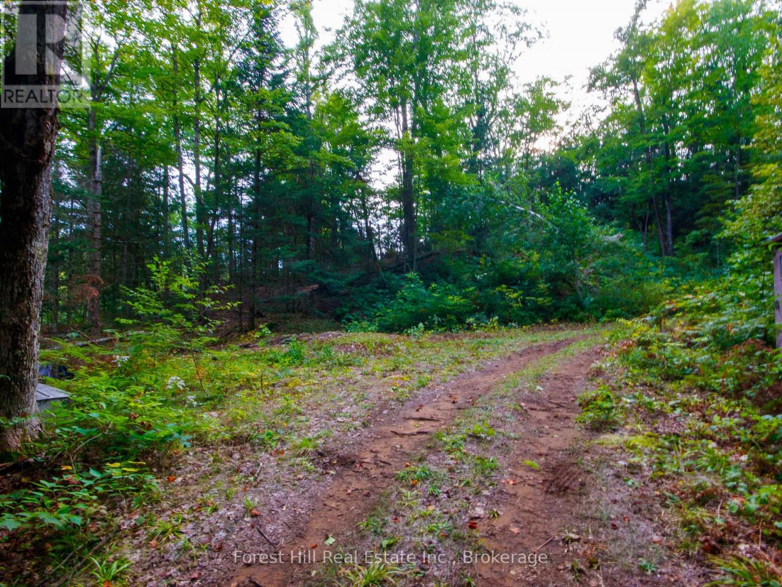 1316 Carlsmount Road E, Bracebridge, Ontario  P1L 1X1 - Photo 19 - X13746392