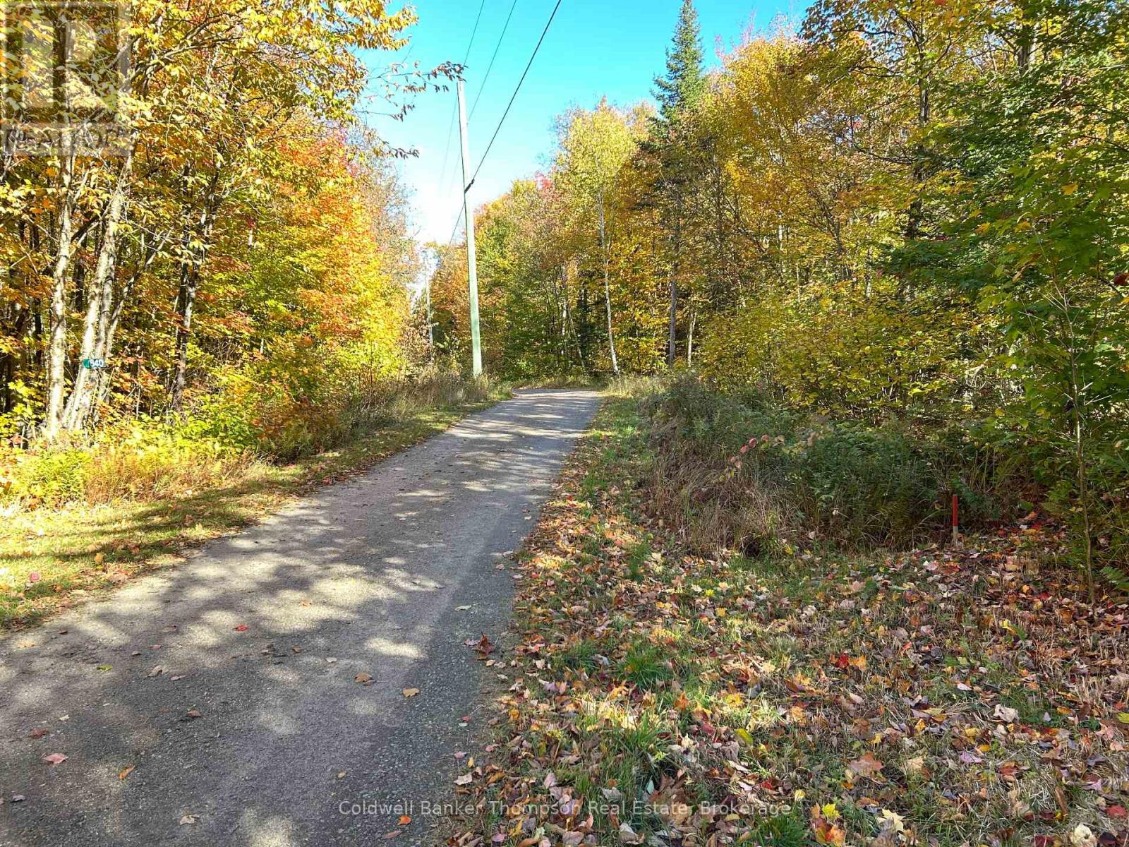 833 Hamilton Lake Road, Machar, Ontario  P0A 1X0 - Photo 2 - X12416864