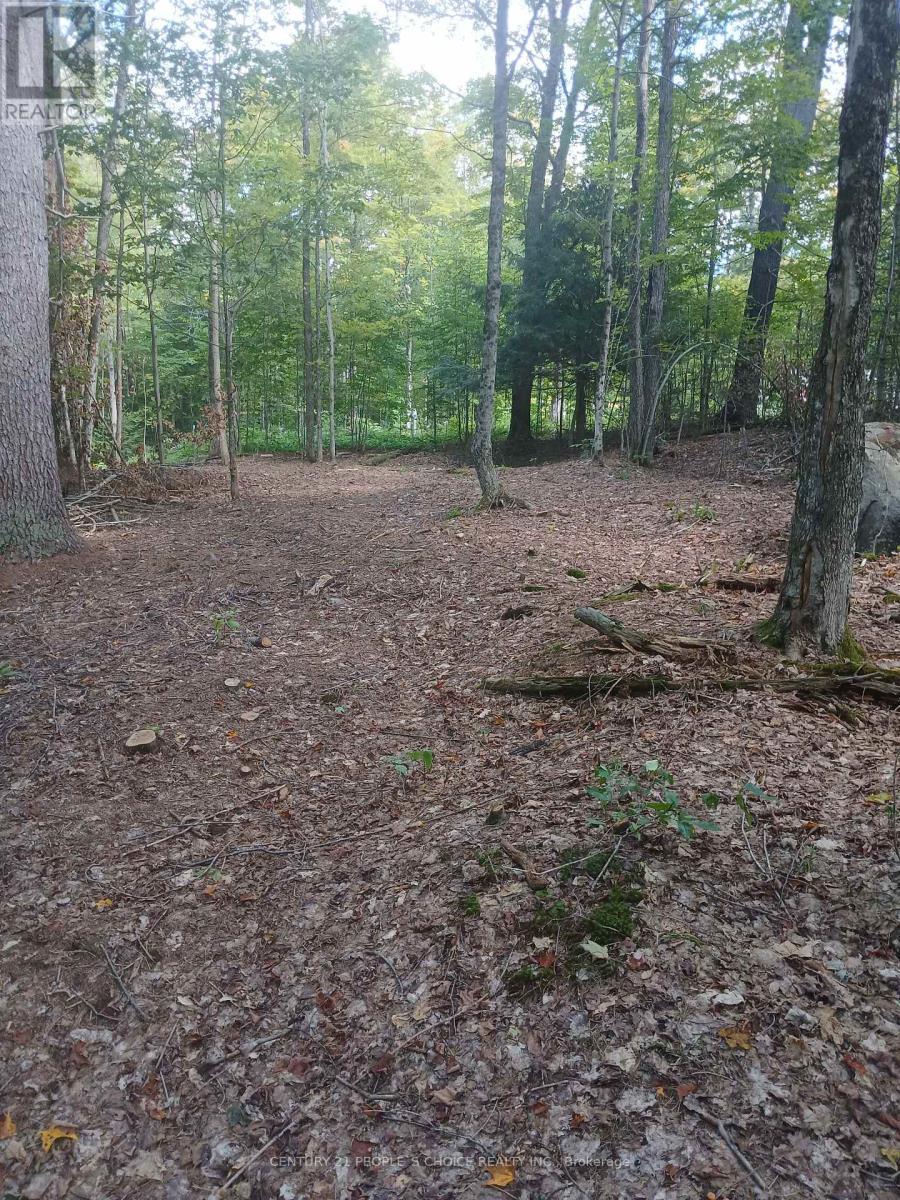 1055 Porkys Road, Minden Hills, Ontario  K0M 2K0 - Photo 15 - X12662920