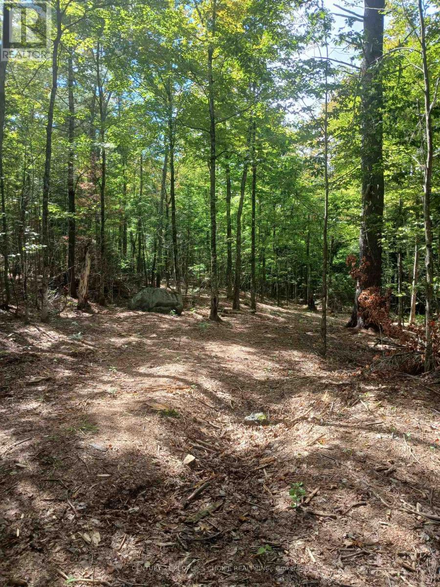 1055 Porkys Road, Minden Hills, Ontario  K0M 2K0 - Photo 13 - X12662920