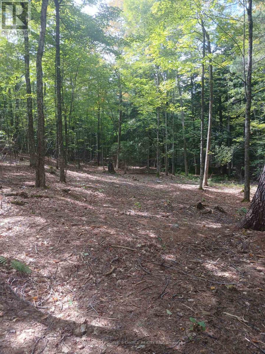 1055 Porkys Road, Minden Hills, Ontario  K0M 2K0 - Photo 14 - X12662920