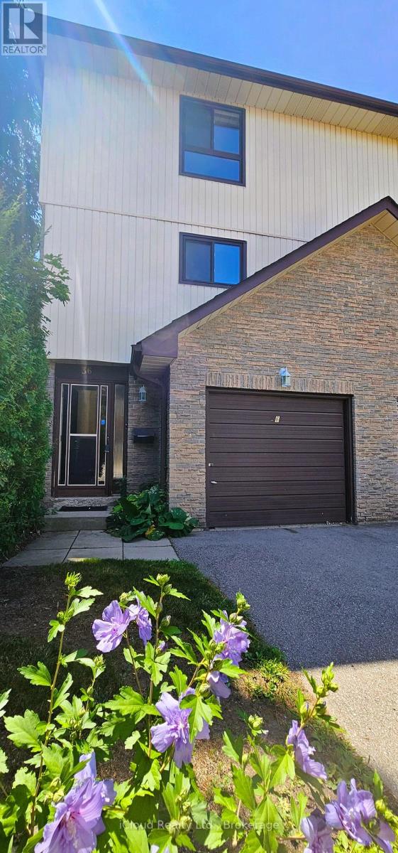 36 - 36 DAWSON CRESCENT, Brampton, Ontario