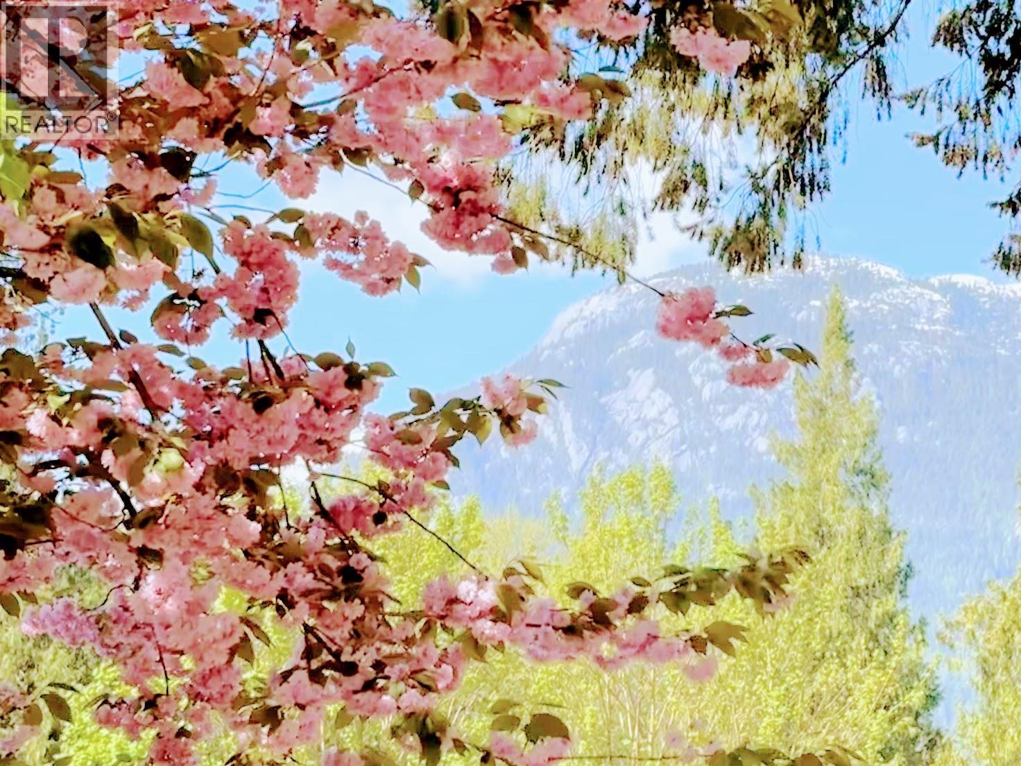 203 1830 Mamquam Road, Squamish, British Columbia  V0N 1T0 - Photo 37 - R3161945