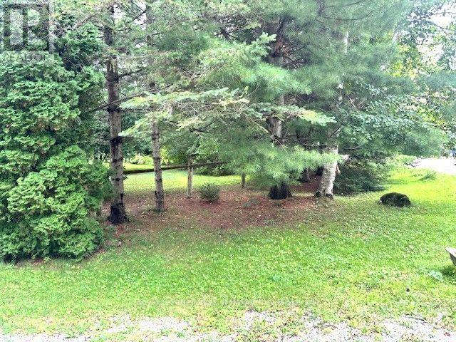 10 Nevison Drive, Kawartha Lakes, Ontario  K0M 2L0 - Photo 33 - X13750694