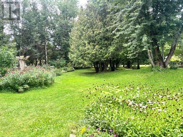 10 Nevison Drive, Kawartha Lakes, Ontario  K0M 2L0 - Photo 34 - X13750694