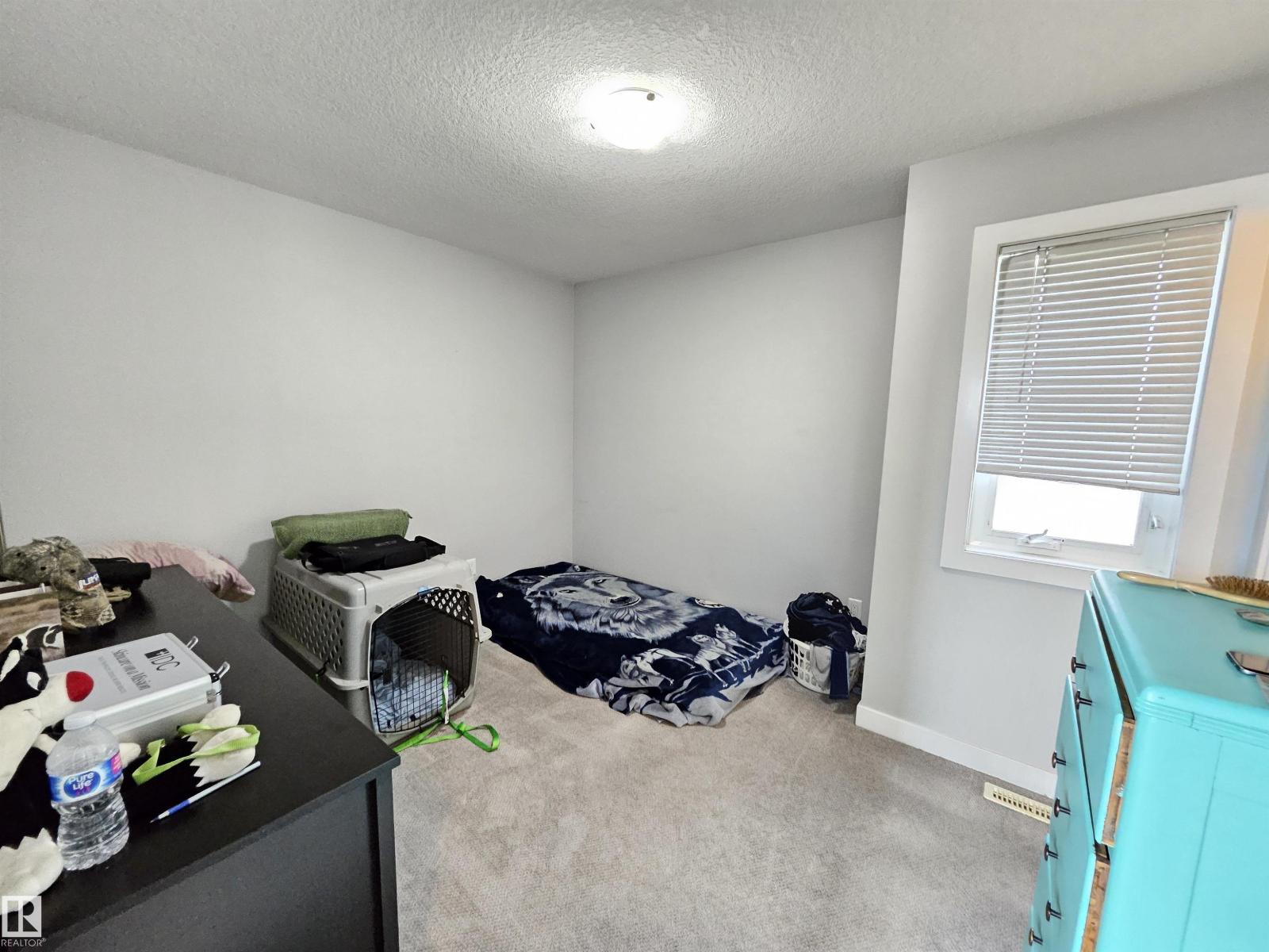 13309 128 St NW, Edmonton, Alberta  T5L 1E7 - Photo 25 - E4507442
