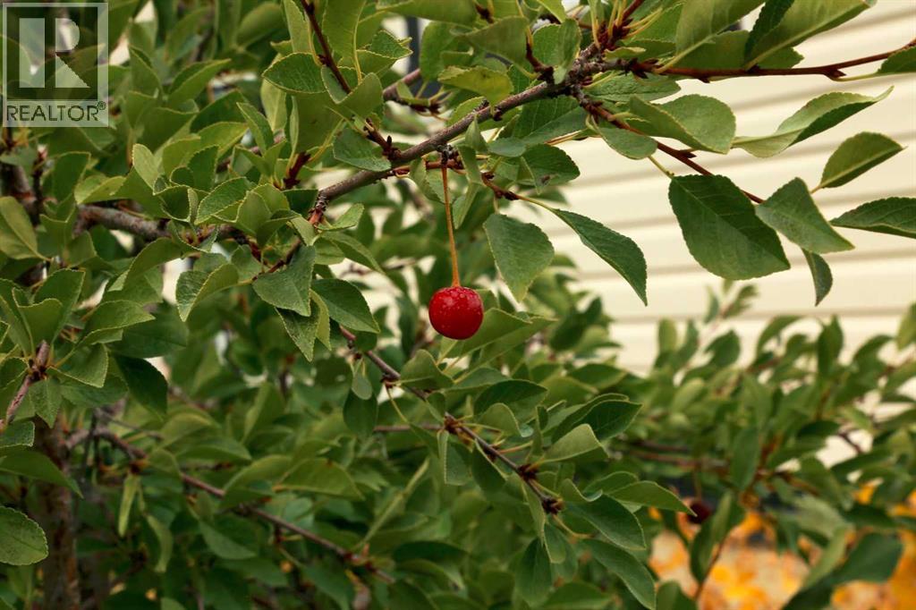 picture 40
