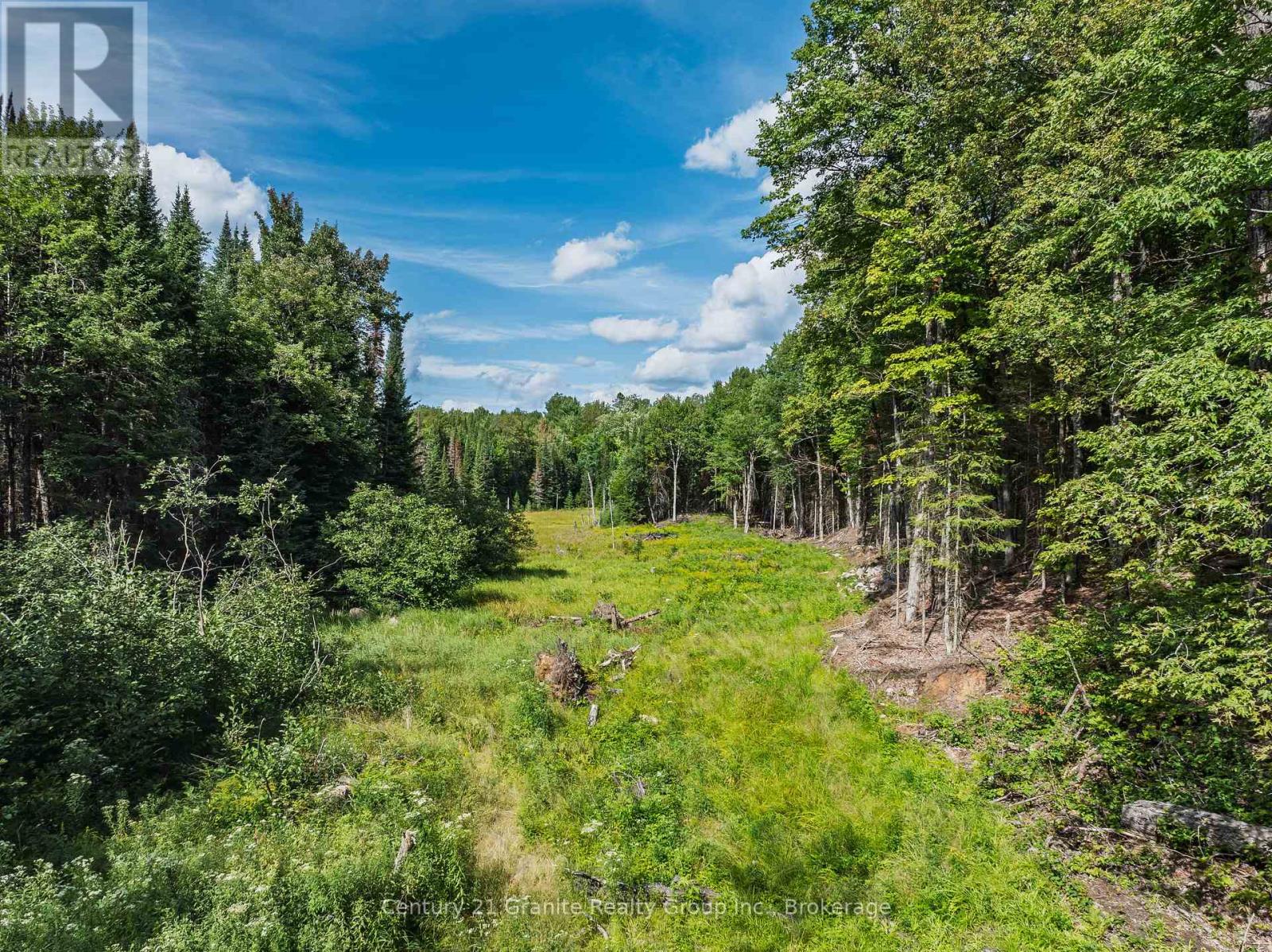 1241 Koshlong Lake Road, Dysart Et Al, Ontario  K0M 1S0 - Photo 23 - X13726682