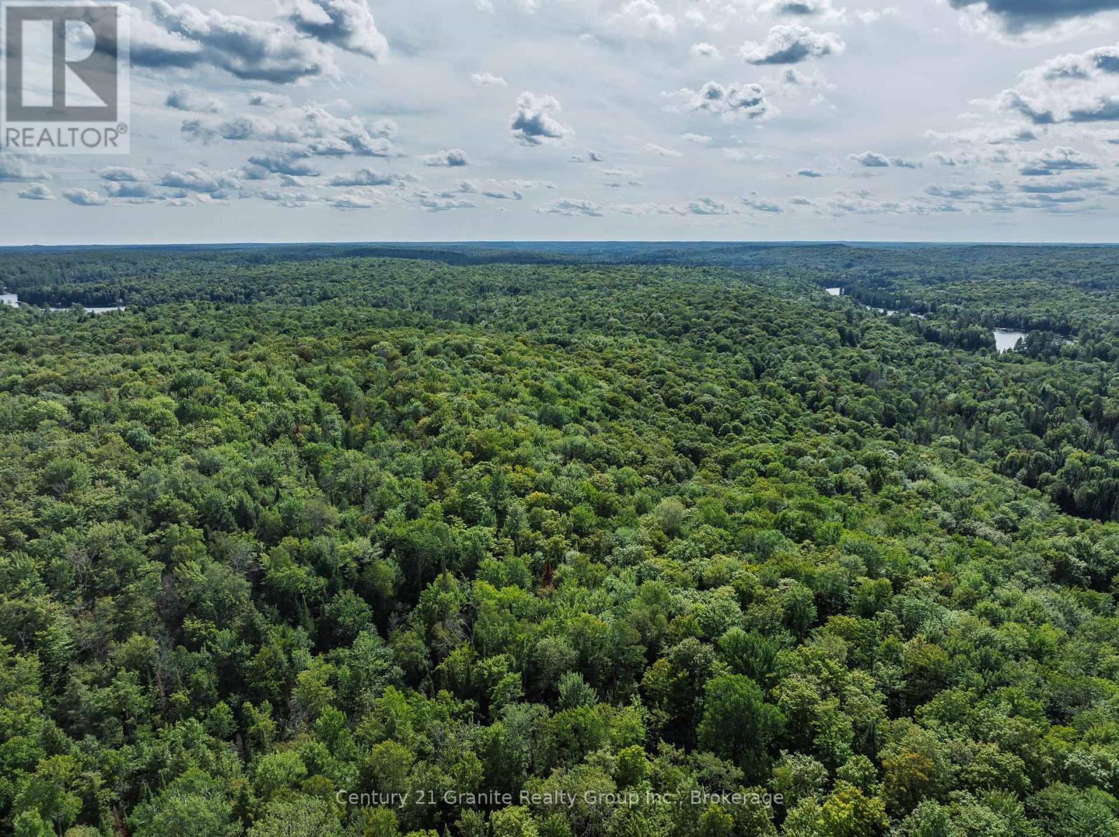 1241 Koshlong Lake Road, Dysart Et Al, Ontario  K0M 1S0 - Photo 24 - X13726682