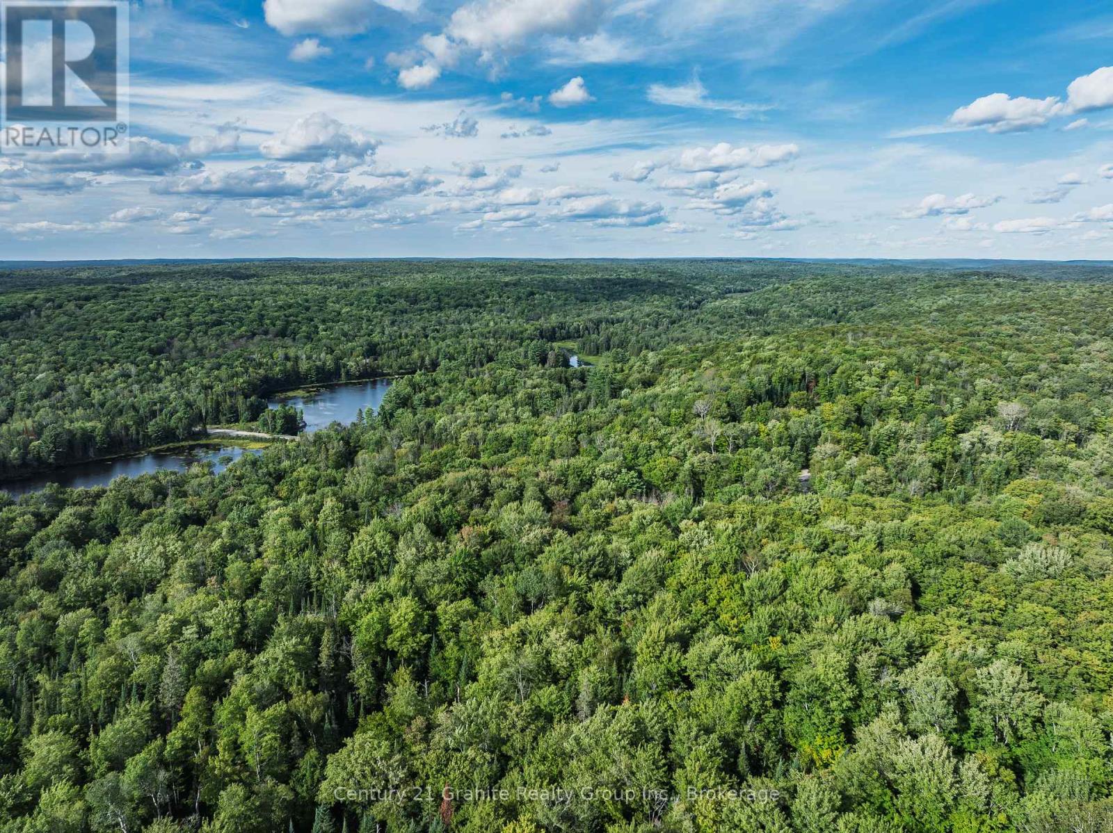 1241 Koshlong Lake Road, Dysart Et Al, Ontario  K0M 1S0 - Photo 30 - X13726682