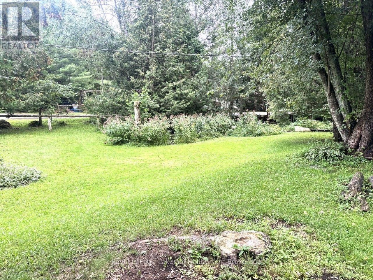 10 Nevison Drive, Kawartha Lakes, Ontario  K0M 2L0 - Photo 32 - X13750694