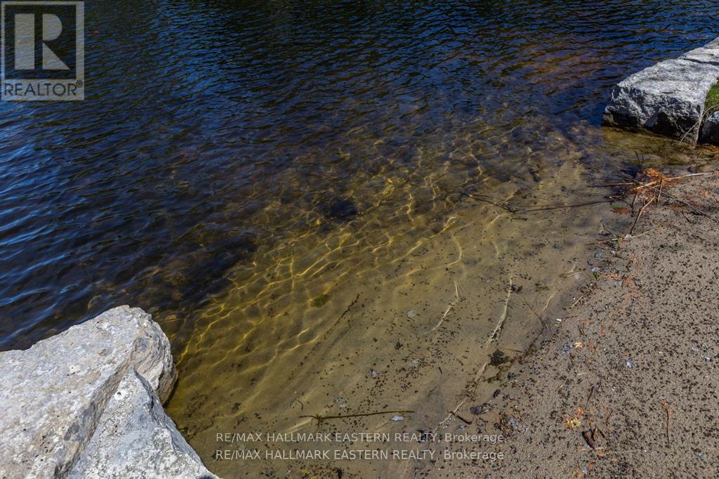 1810 Hull Road, Douro-Dummer, Ontario  K0L 2H0 - Photo 35 - X13750938