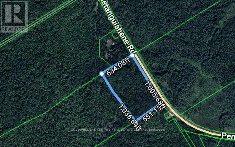 4896 Penetanguishene Road, Springwater, Ontario  L0L 1V0 - Photo 11 - S13751014