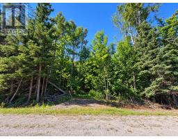 4896 PENETANGUISHENE ROAD, Springwater, Ontario