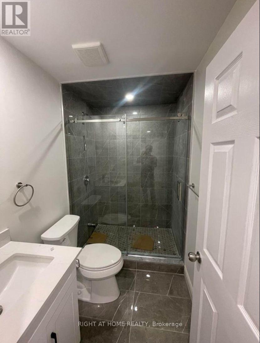 Basement - 264 Robert Parkinson Drive, Brampton, Ontario  L7A 3Y2 - Photo 11 - W13751018