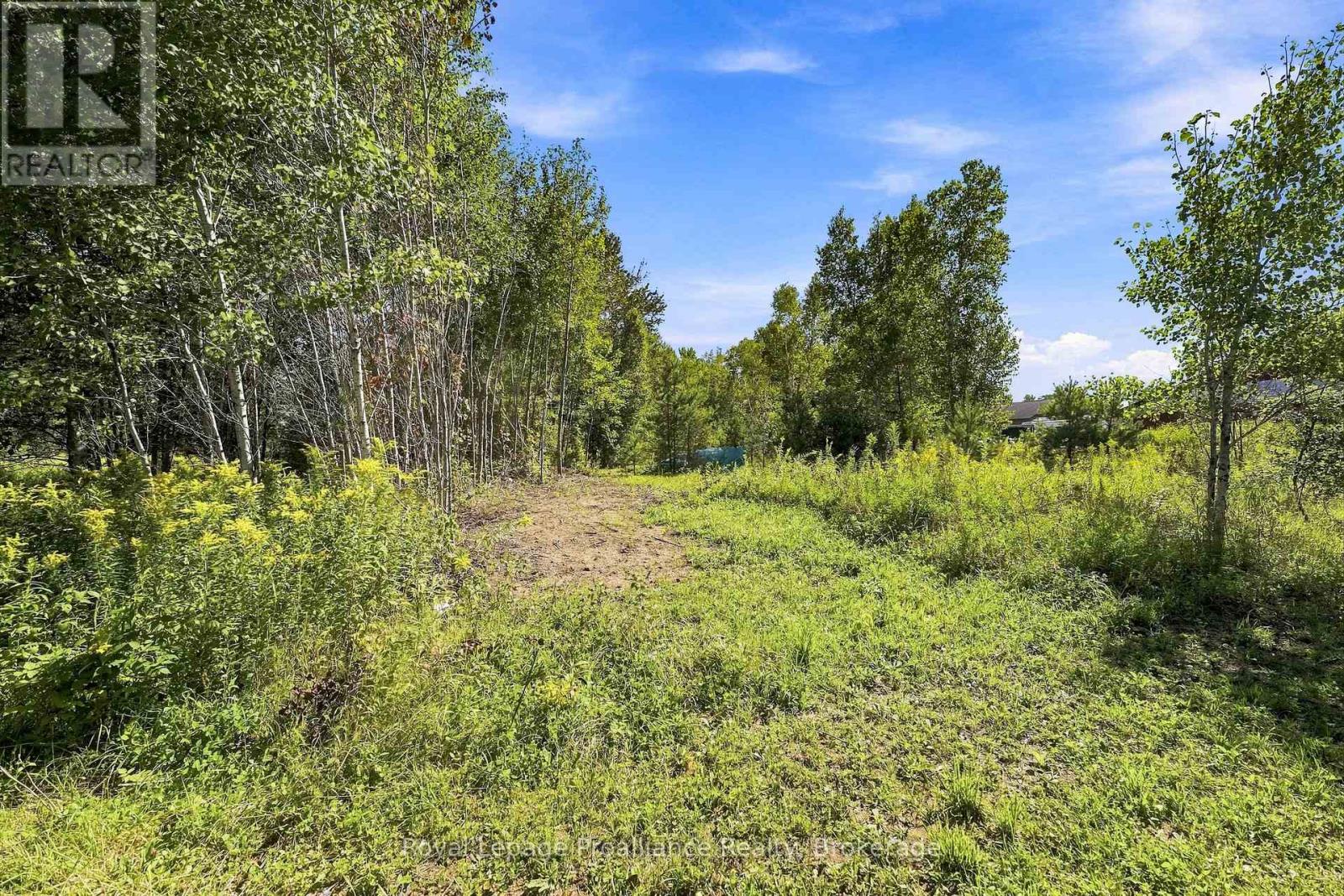 12541 Highway 41, Addington Highlands, Ontario  K0H 2G0 - Photo 45 - X13751098