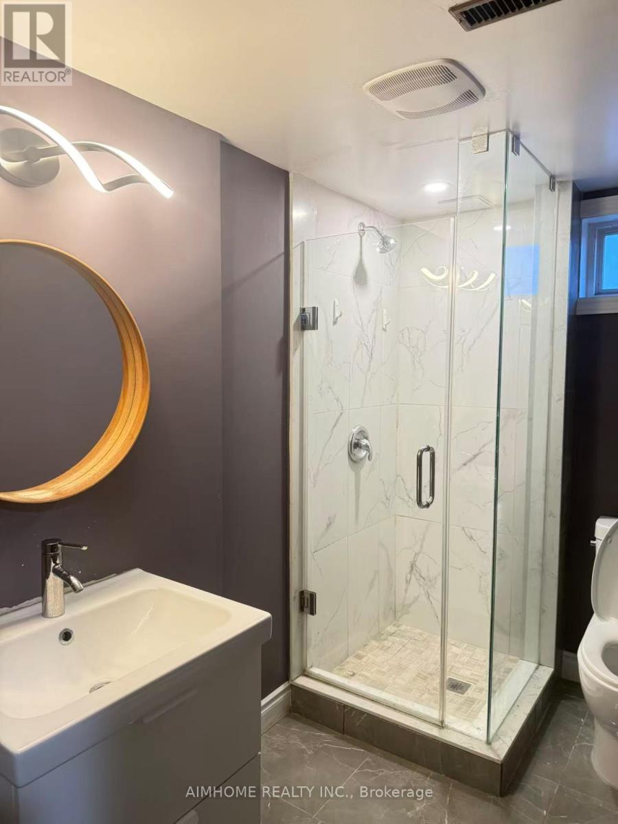Lower - 256 Patricia Avenue, Toronto, Ontario  M2M 1J8 - Photo 6 - C13751232