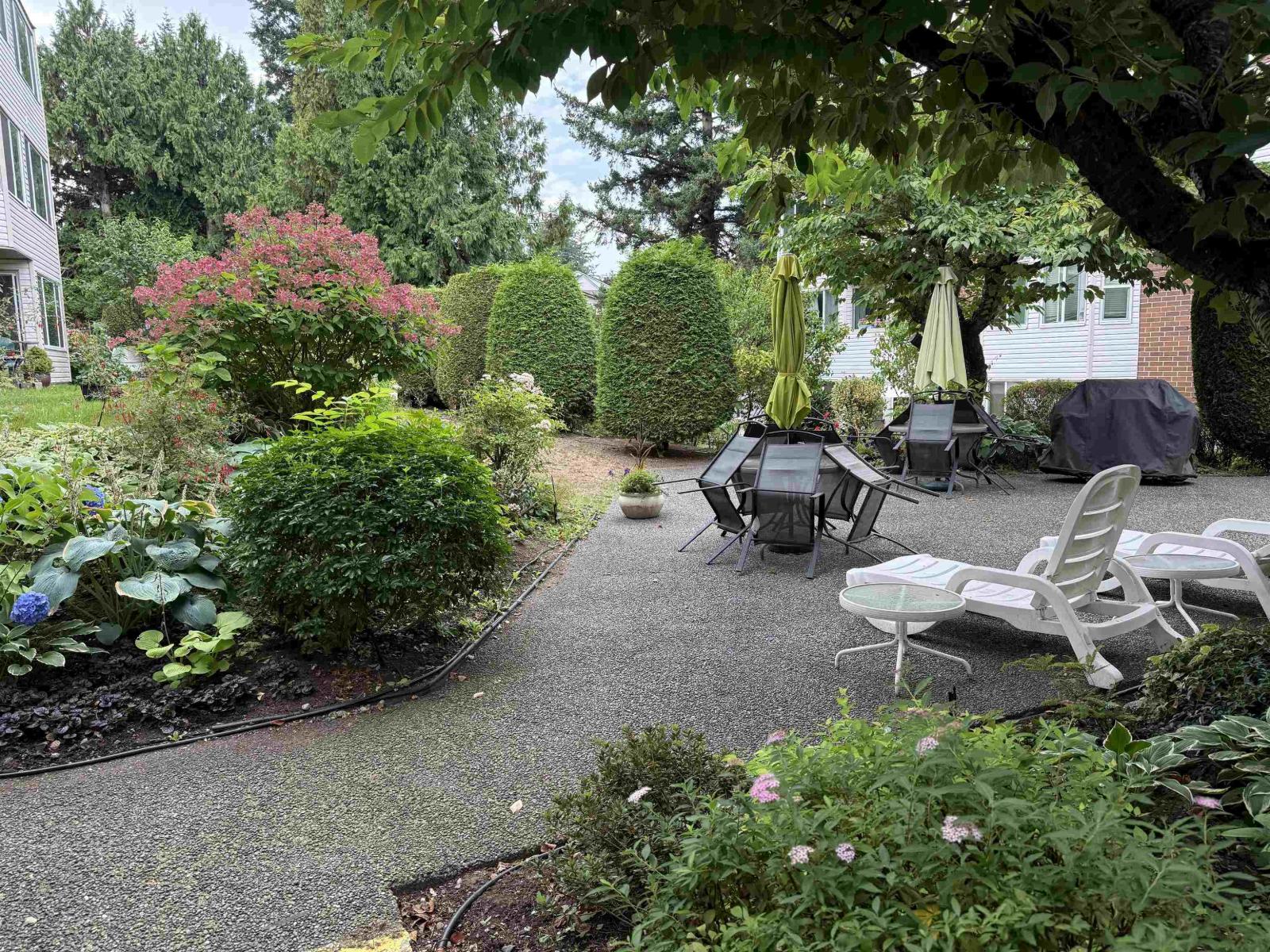 203 32098 George Ferguson Wa Way, Abbotsford, British Columbia  V2T 2K6 - Photo 4 - R3161423