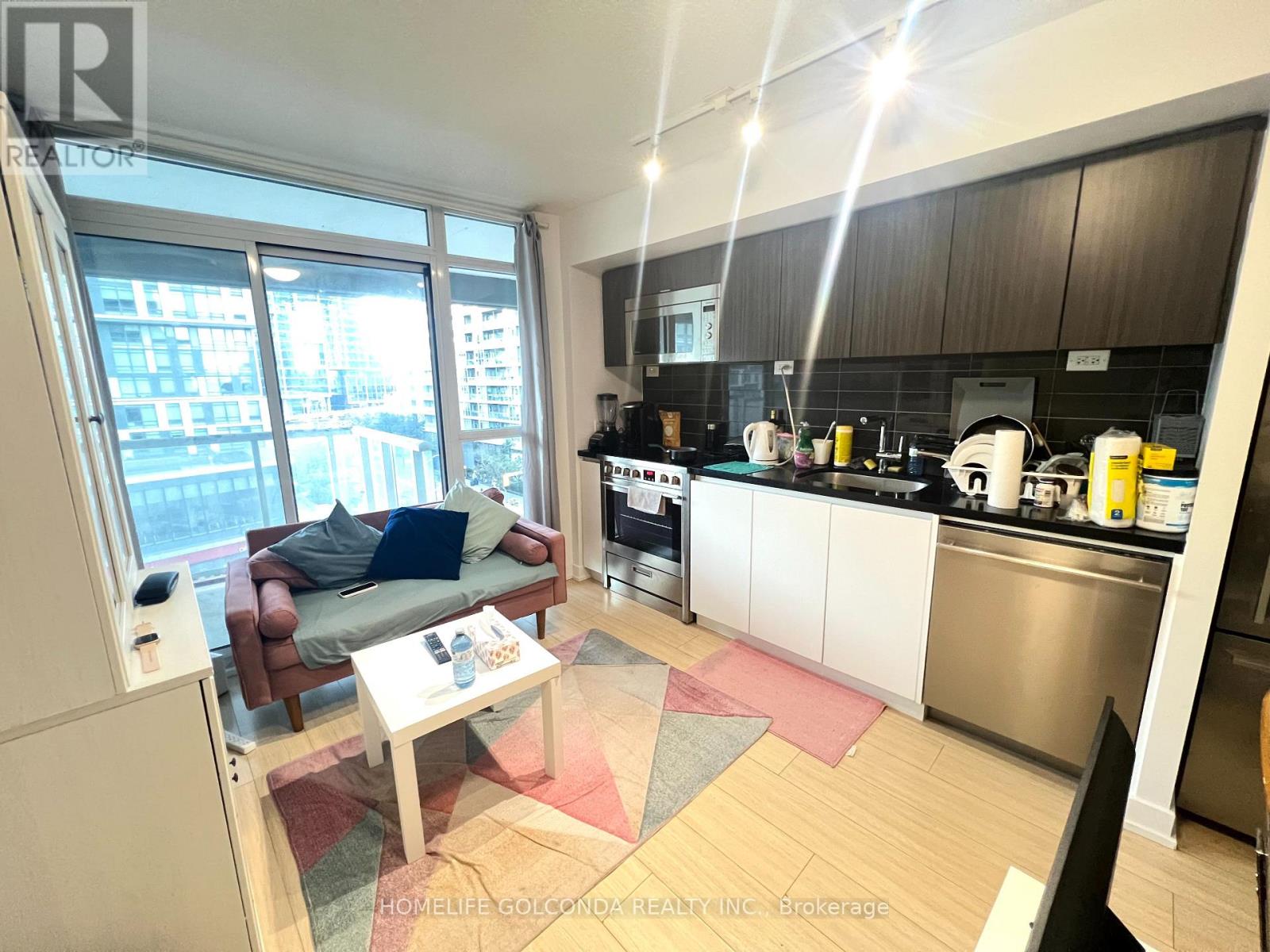 719 - 85 Queens Wharf Road, Toronto, Ontario  M5V 0J9 - Photo 3 - C13751272