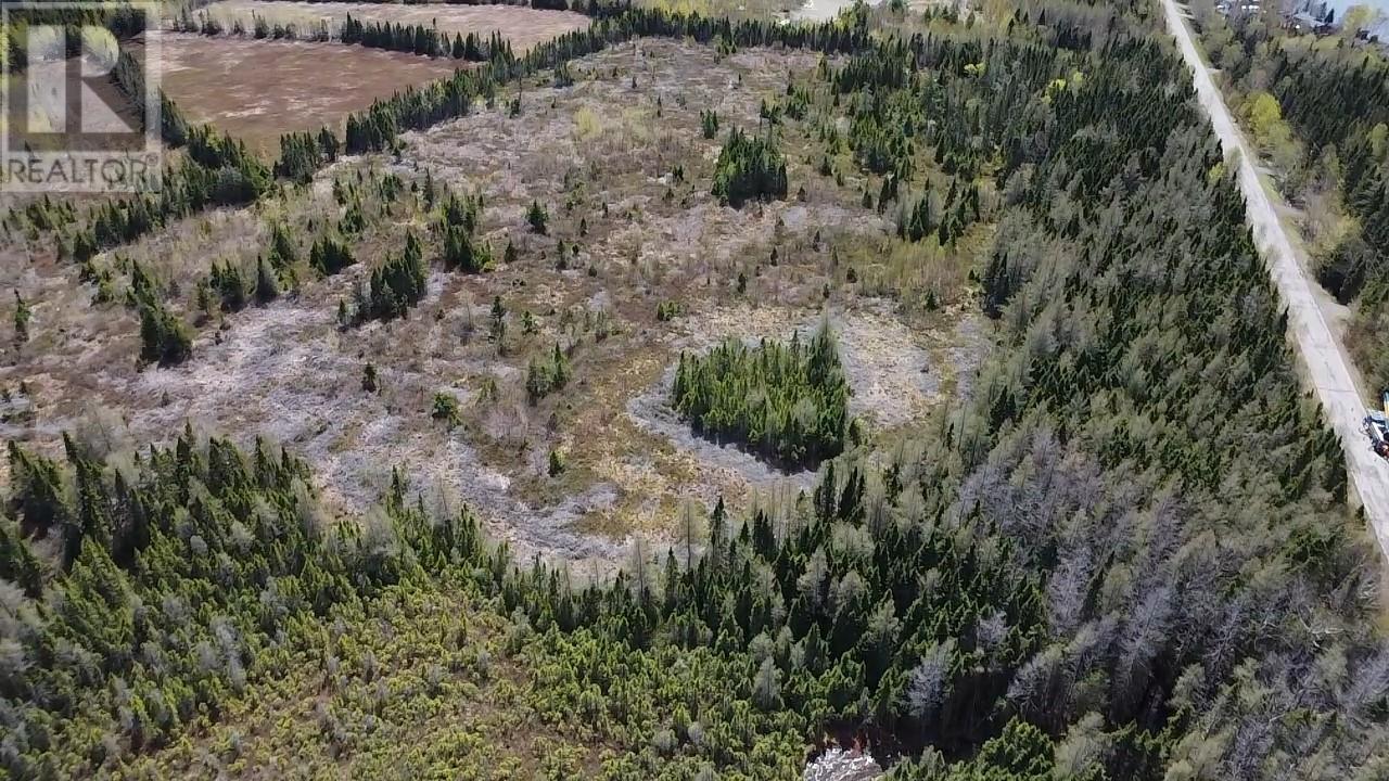 0 Sandy Point Road, Norris Arm — photo 5