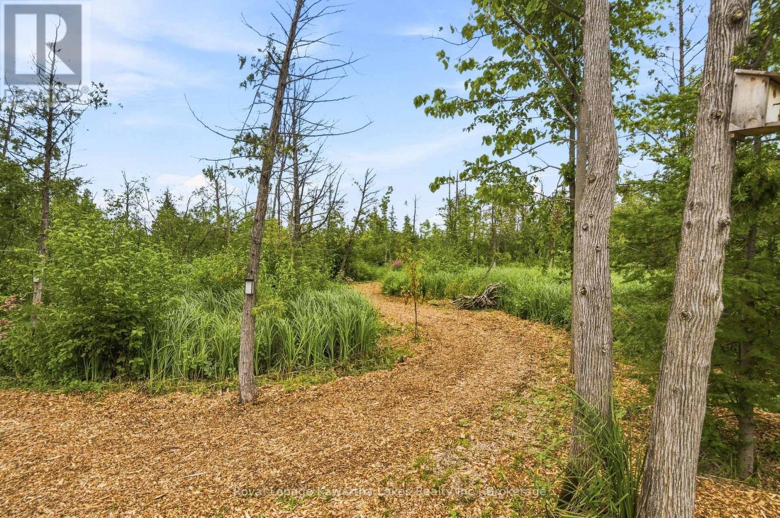 32 Mclarens Creek Road, Kawartha Lakes, Ontario  K0M 1G0 - Photo 44 - X13751664