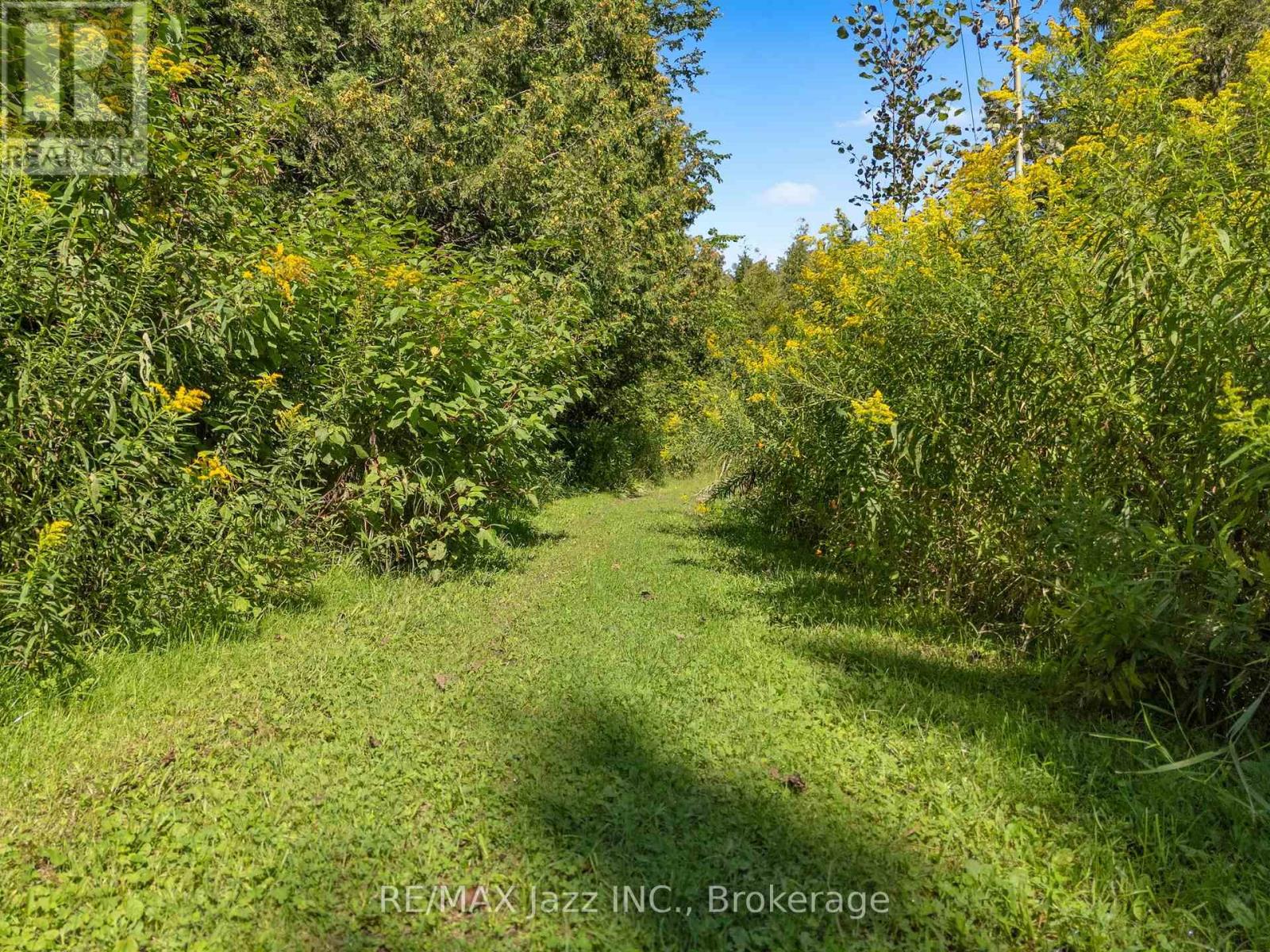 8183 Tinkerville Road, Port Hope, Ontario  L0A 1B0 - Photo 44 - X13751712