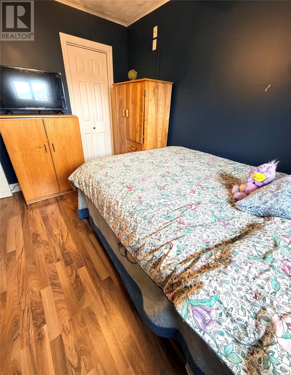 494 Main Street, Bishop's Falls — photo 13