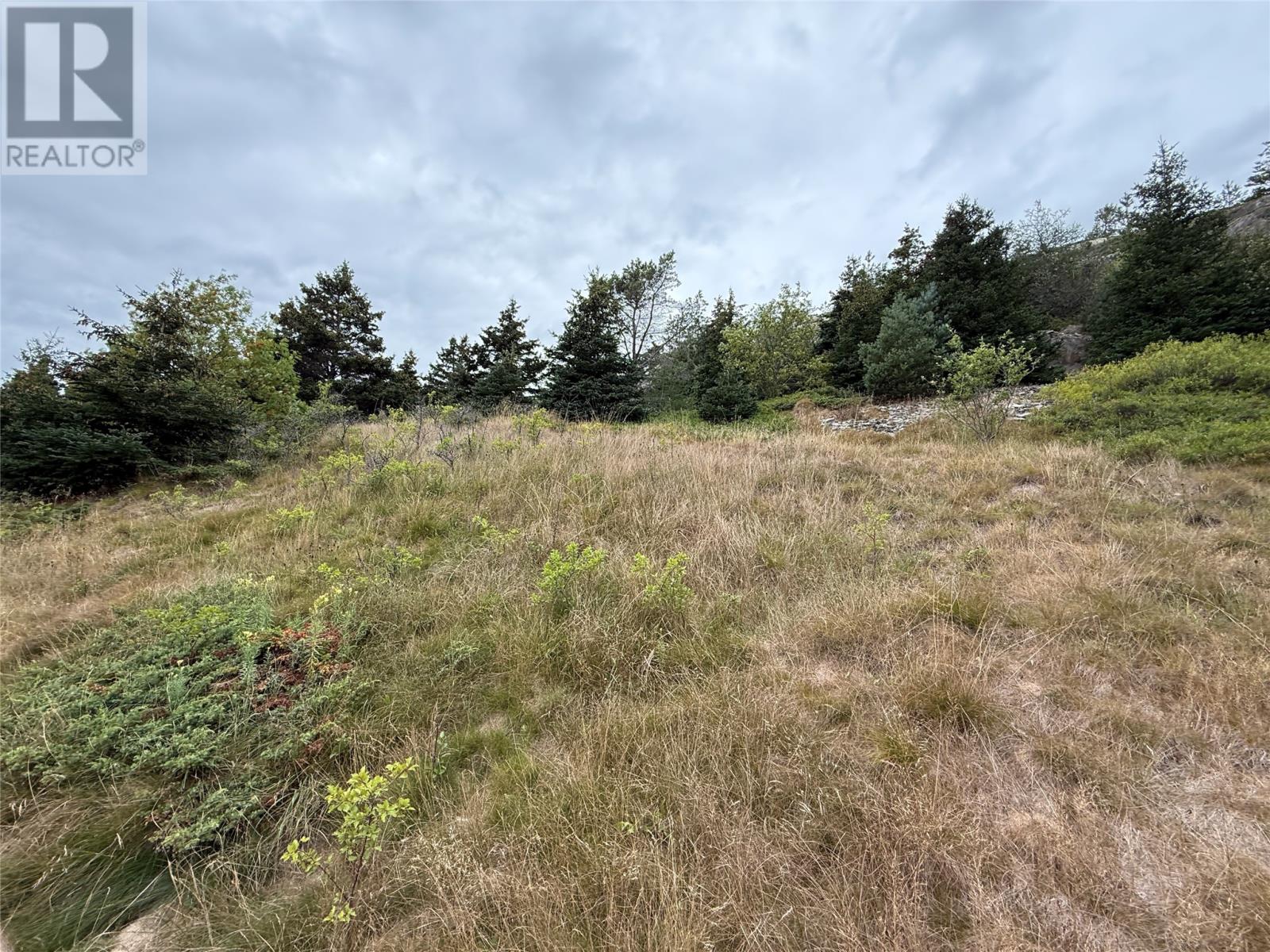 11 Harbour Drive, Brigus — photo 16