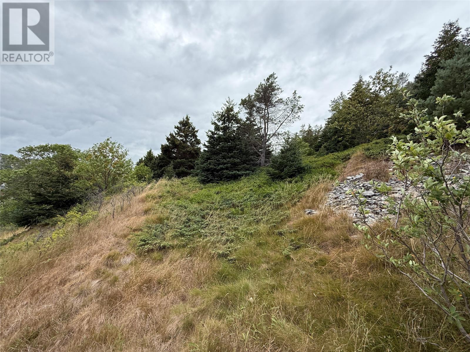 11 Harbour Drive, Brigus — photo 17